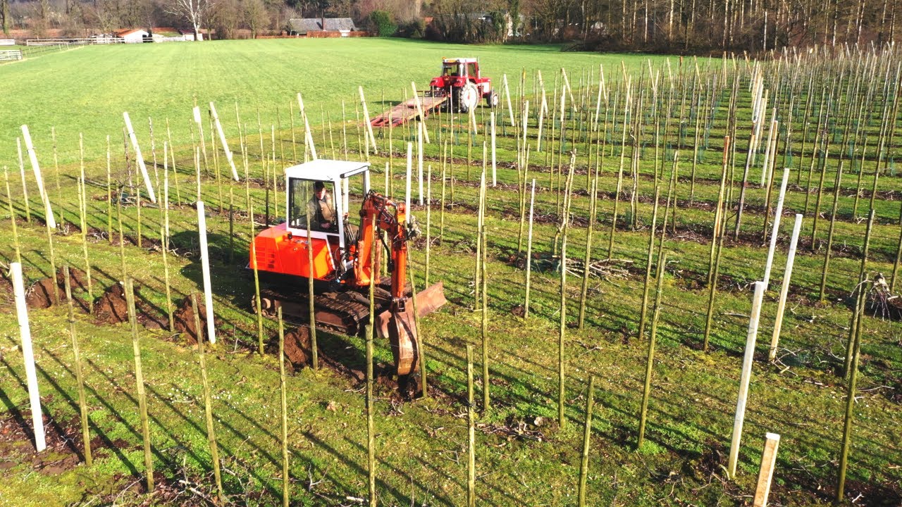 Throwing appletree roots out with my Pel Job LS2000