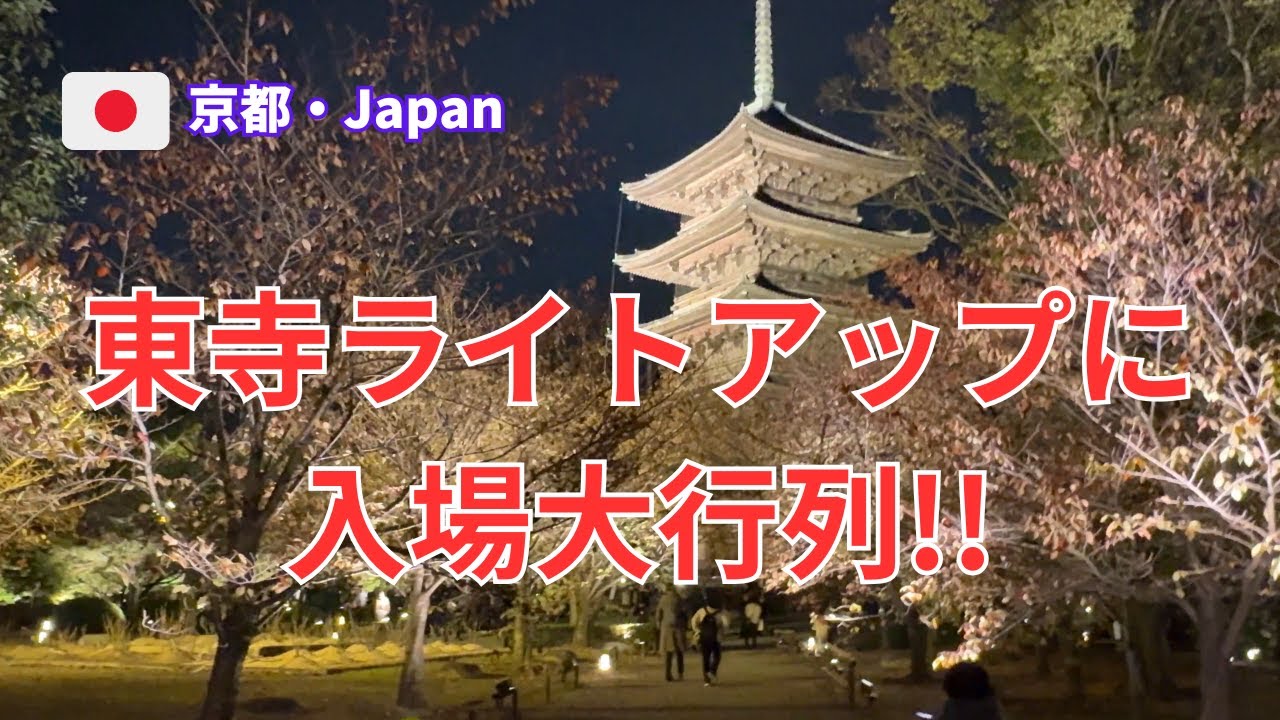 東寺ライトアップで入場大行列!!【京都・東寺】