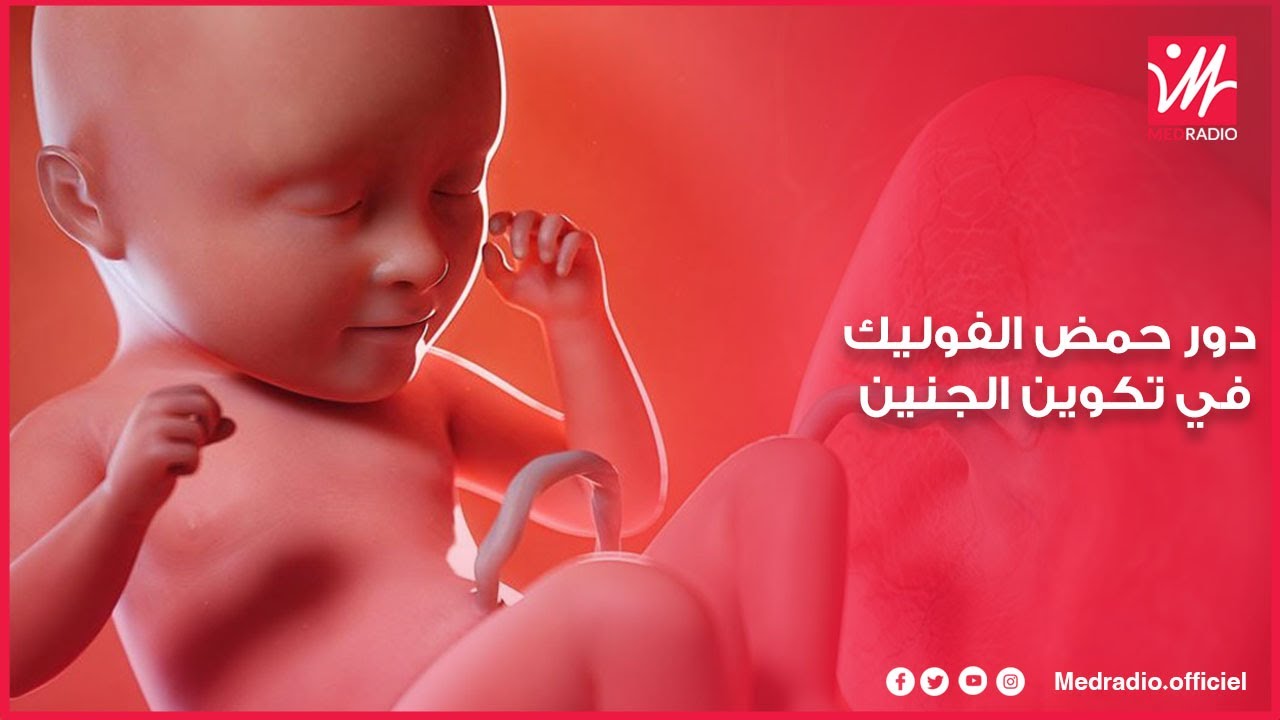 شنو هو حمض الفوليك والأهمية ديالو بالنسبة للمرأة الحامل؟.. الدكتور لمسفر يشرح