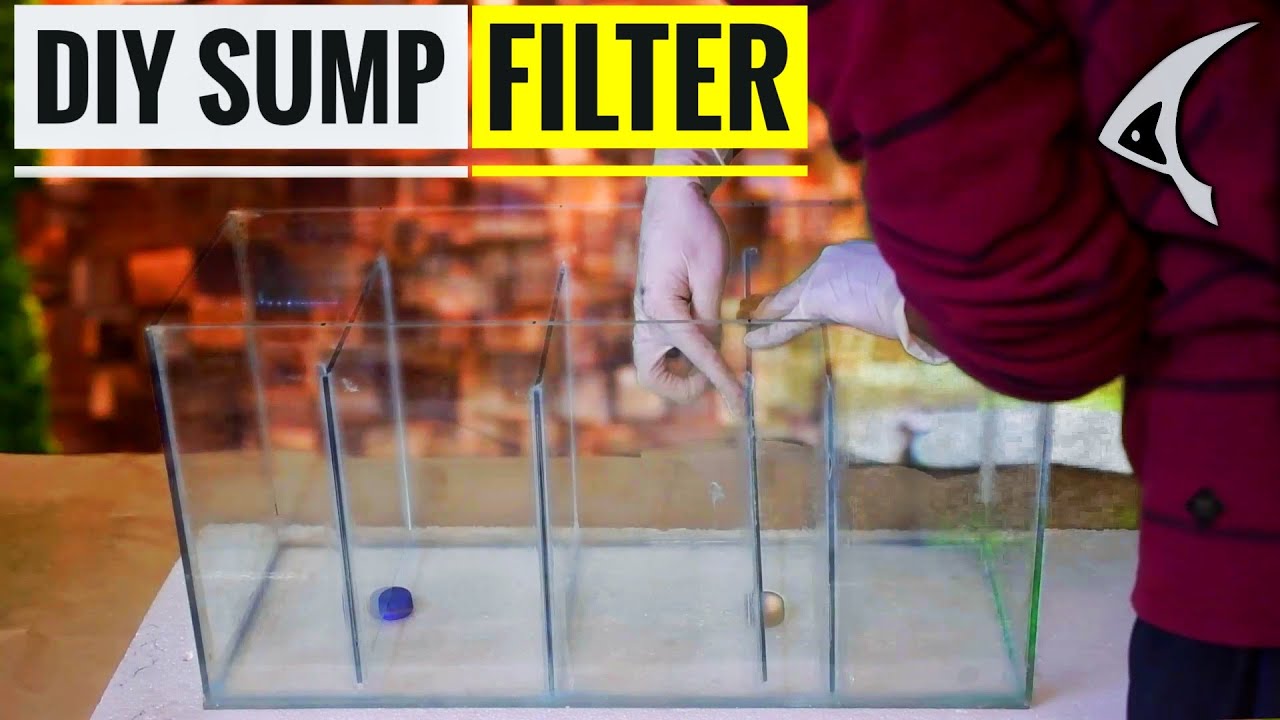 How To Make Sump Filter For Aquarium At Home || DIY Sump Filter For Fish Tank || In Hindi