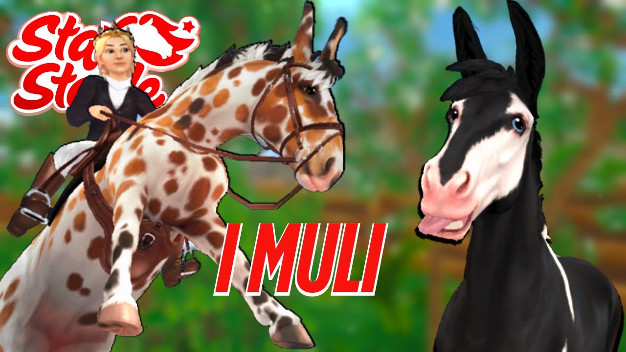 Compro i NUOVI MULI su Star Stable