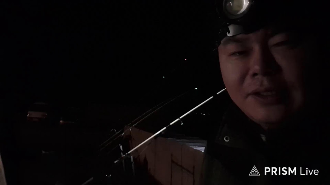 리방 완도 약산 원투 낚시 밤낚 / 아이온2 카이시넬 천족 같이하실분 카카오단톡방 놀러오세요