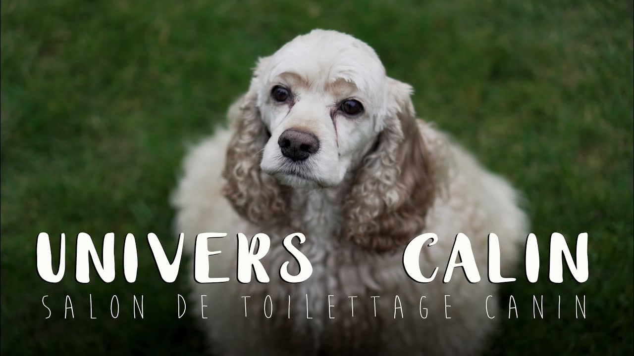 Univers Calin - Frani&egrave;re