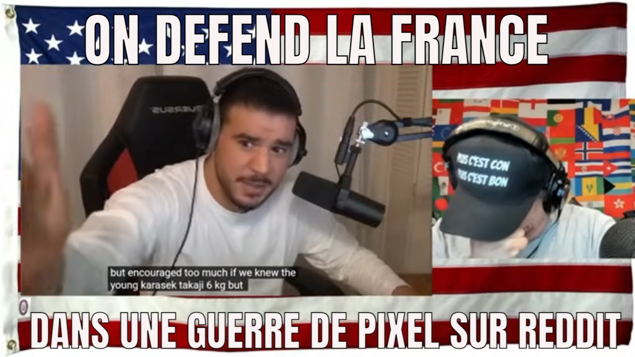 ON DEFEND LA FRANCE DANS UNE GUERRE DE PIXEL SUR REDDIT  - REACTION