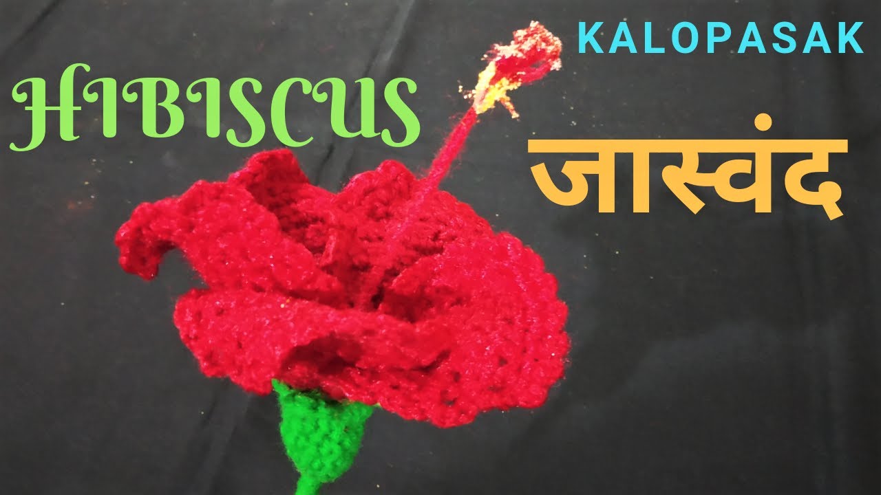 Hibiscus Flower, Shoeblackplant, China Rose, Crochet Flower Type 6- Jaswand / जास्वदींचे फुल