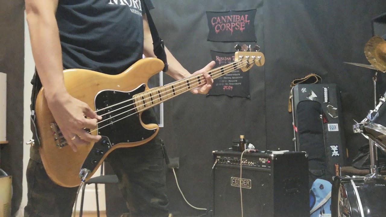 Squier JB VM70, Sansamp Bass Driver DI, Fender Rumble 150, D'Addario EXL230 XL