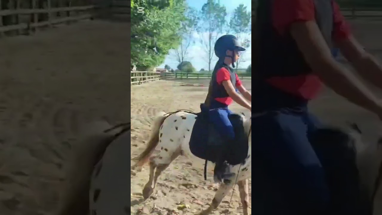 Si riparte dopo le vacanze...#cavalli#pony #equitazione #estate #animali #passion #horse #felicità 