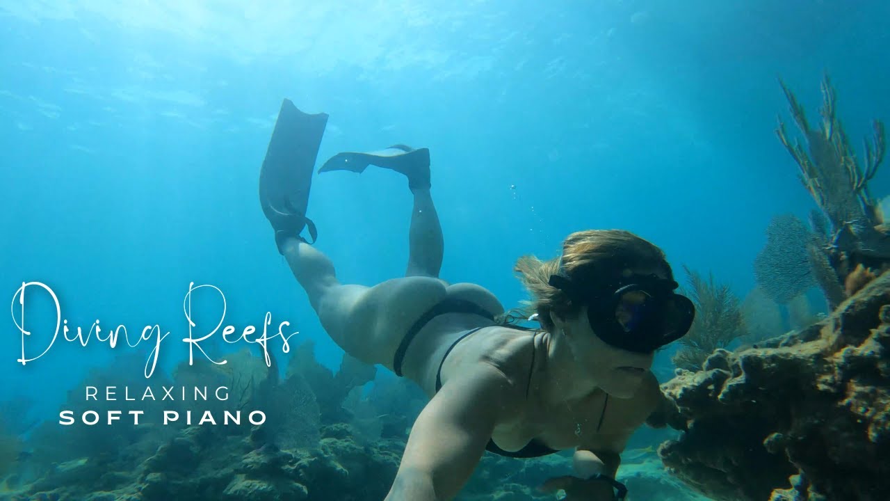 Diving Reefs in a Black Bikini to Soft Piano Music | Pacific Reef | Biscayne National Park
