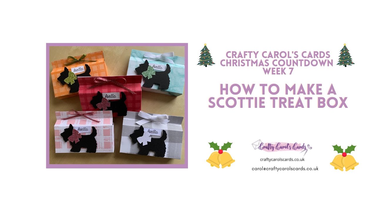 Scottie treat box: Christmas Countdown week 7