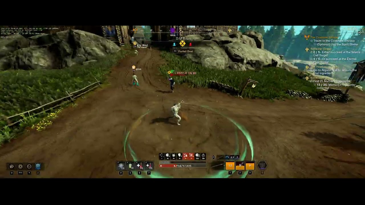 Spear/Rapier vs VG/Dagger - New World Aeternum