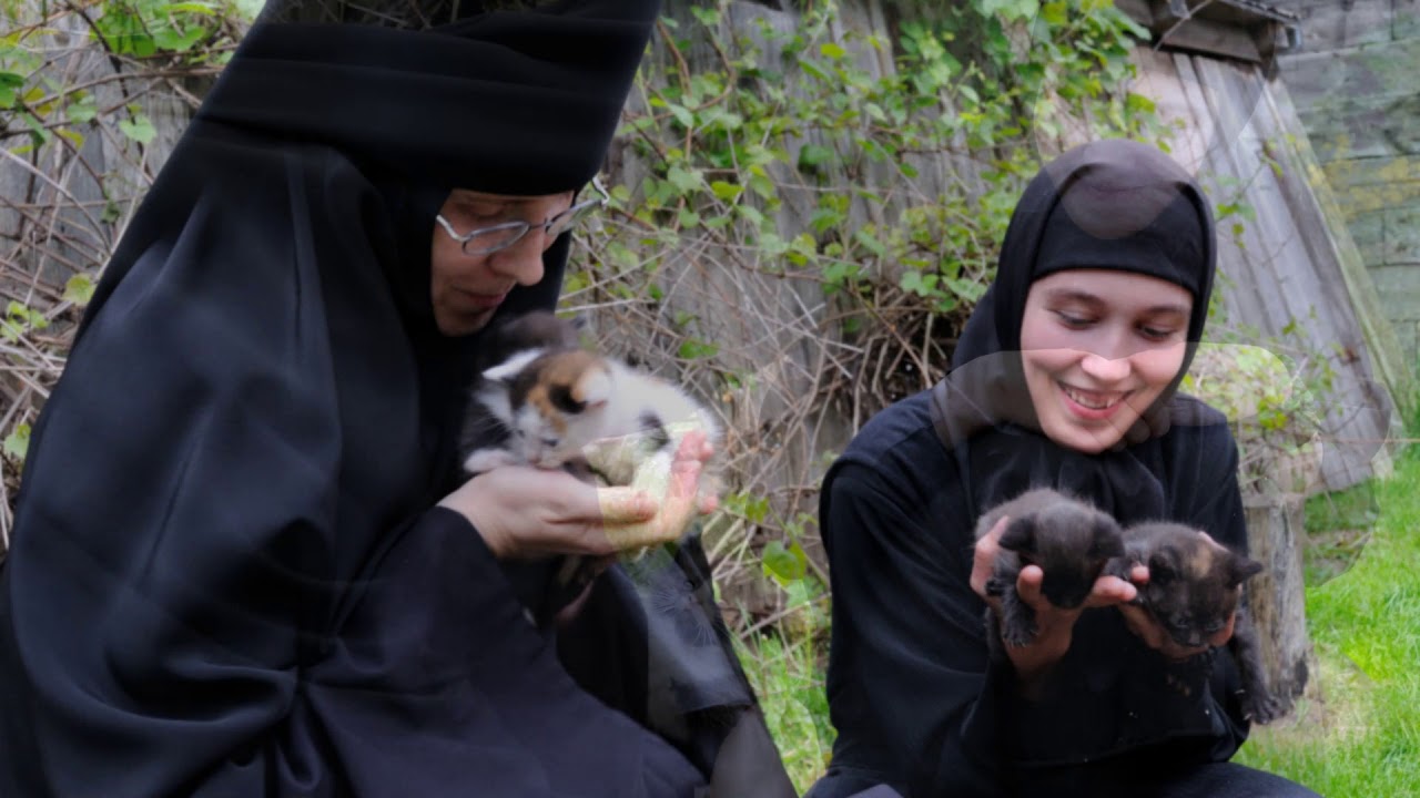 Prawosławny  Monaster  Zaśnięcia Najświętszej Marii Panny w Wojnowie