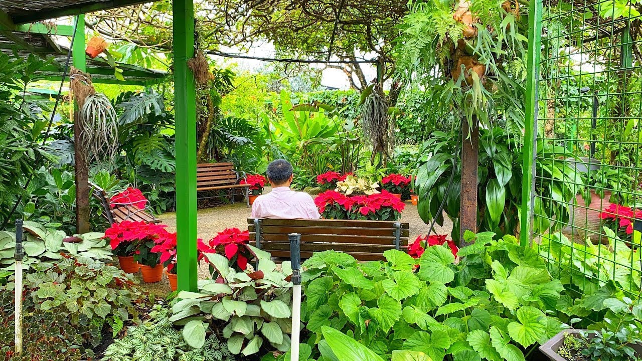 Secret Garden @1utamashoppingcentre