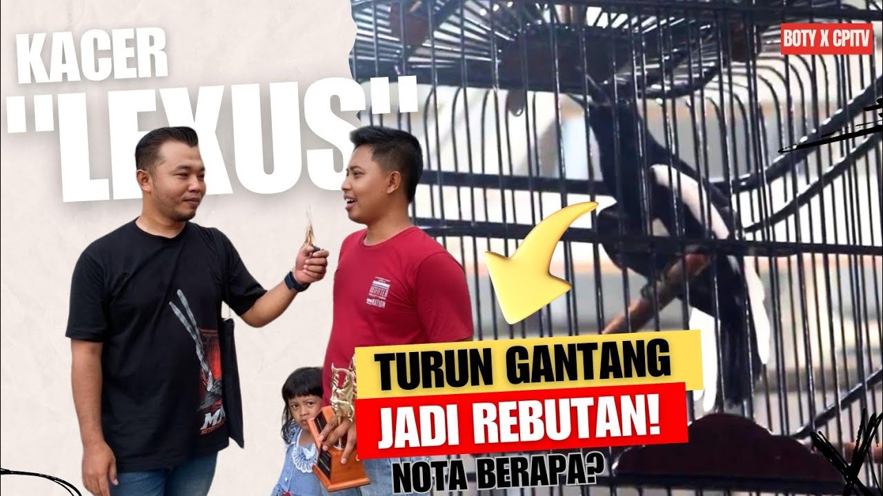 VIKING GOES TO LAMPUNG : KACER LEXUS SABET DOUBLE WINNER SIMAK RAWATAN NYA.