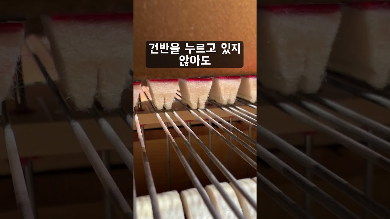 나머지 페달들은 기능이 뭐예요?
