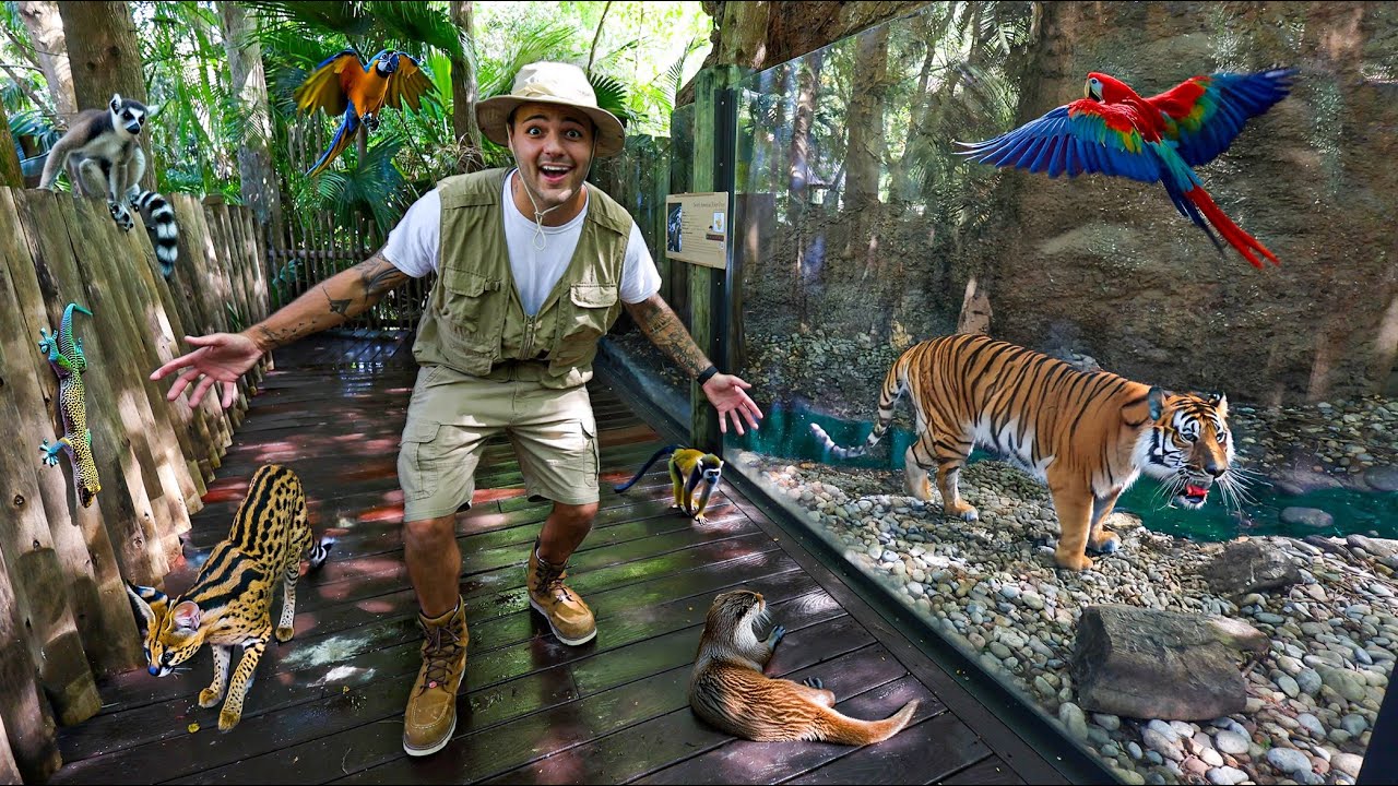 My BIGGEST ANIMAL PROJECT Begins Now…