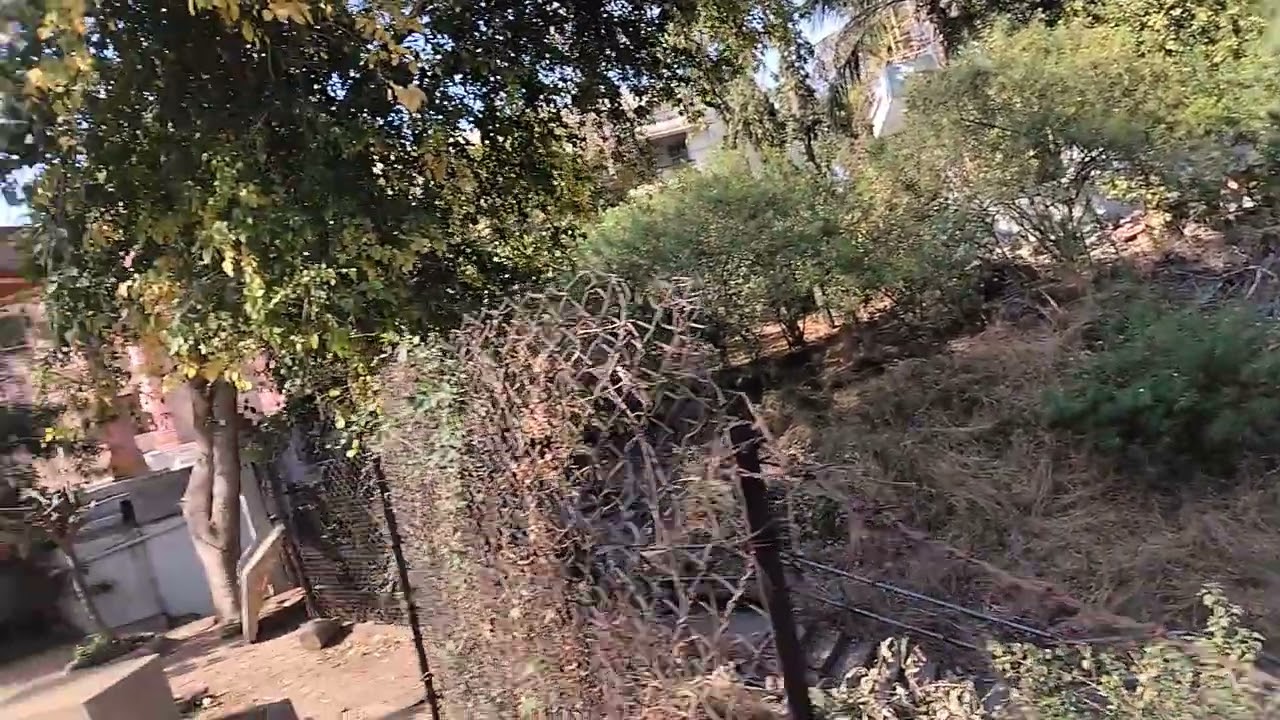 Narmada Parikrama - Ma Anandamayi Ashram,Bhimpura Village