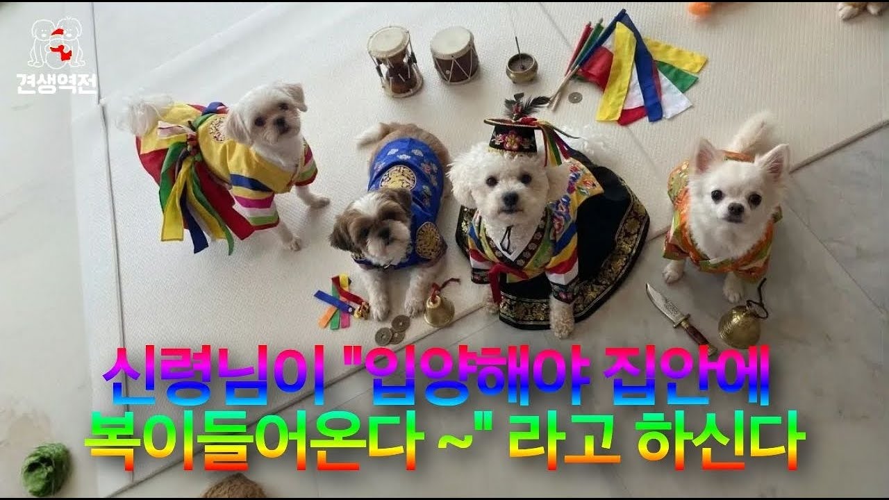 신령님께서 
