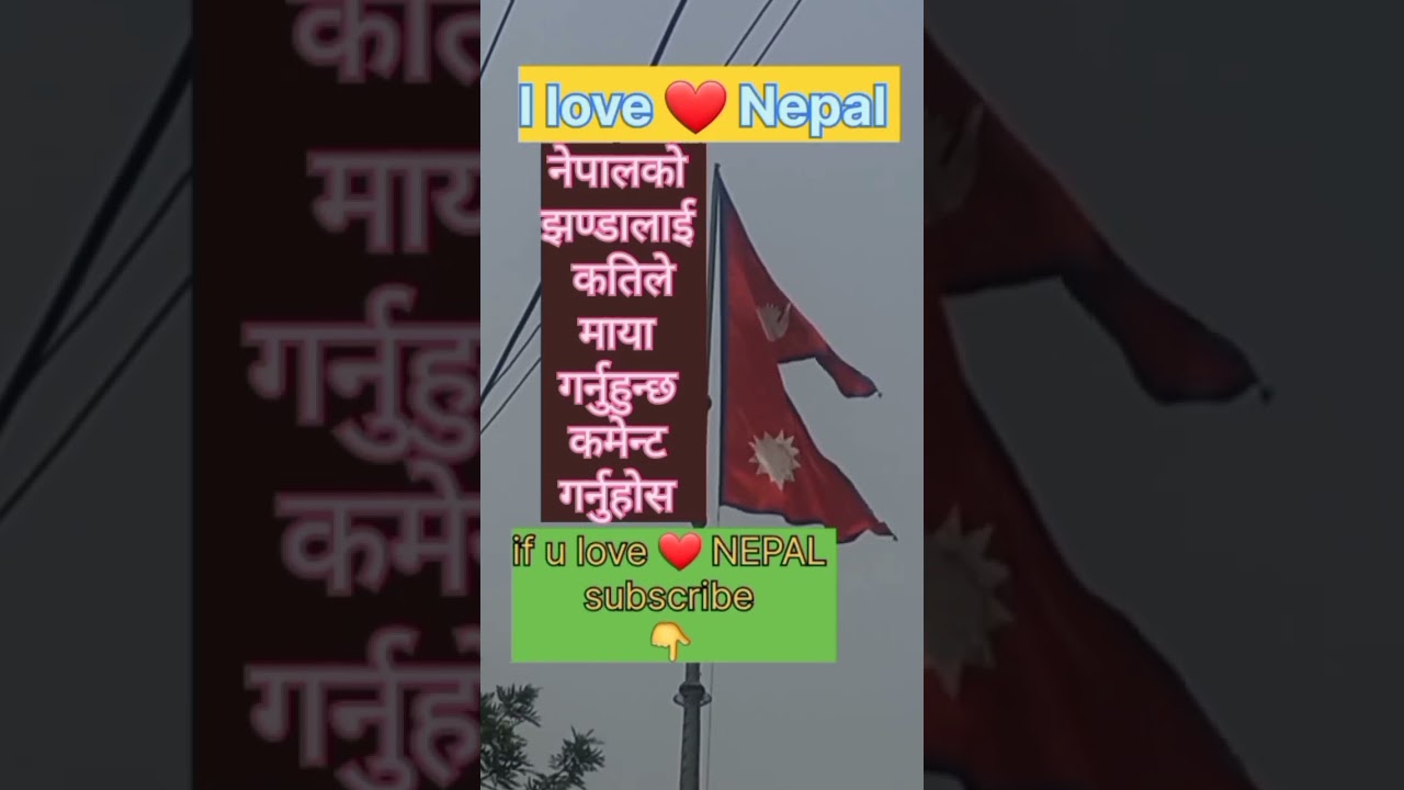 I love ❤️ Nepal 🇳🇵 #freerideaim #nepal #shorts