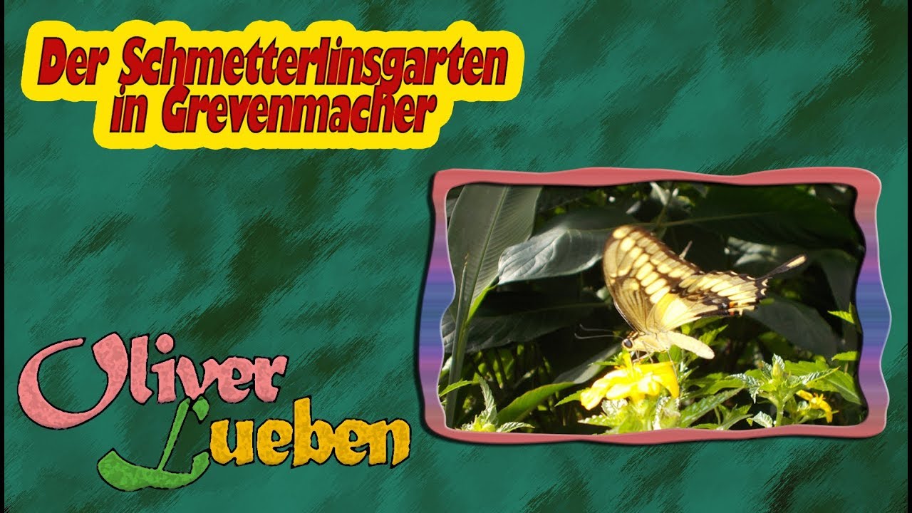 ☆ DER SCHMETTERLINGSGARTEN IN GREVENMACHER ( ... Jardin des Papillons ... ) [HD] ☆