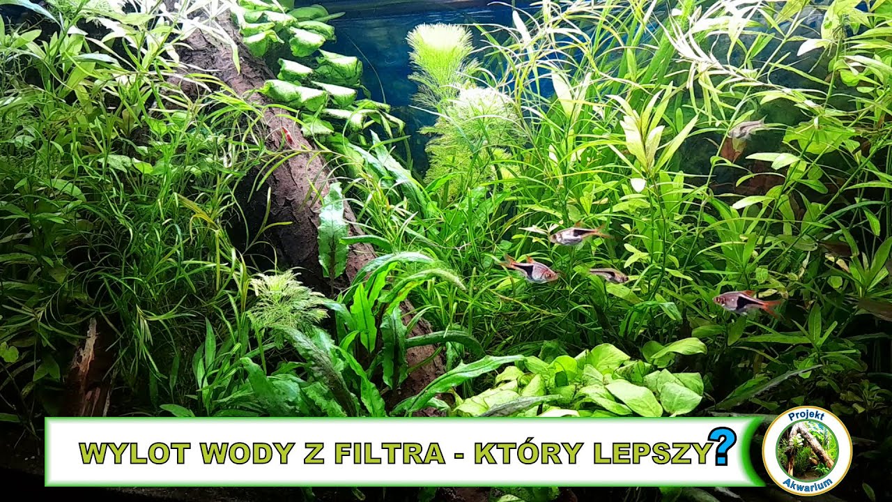 Wylot wody z filtra - który lepszy?