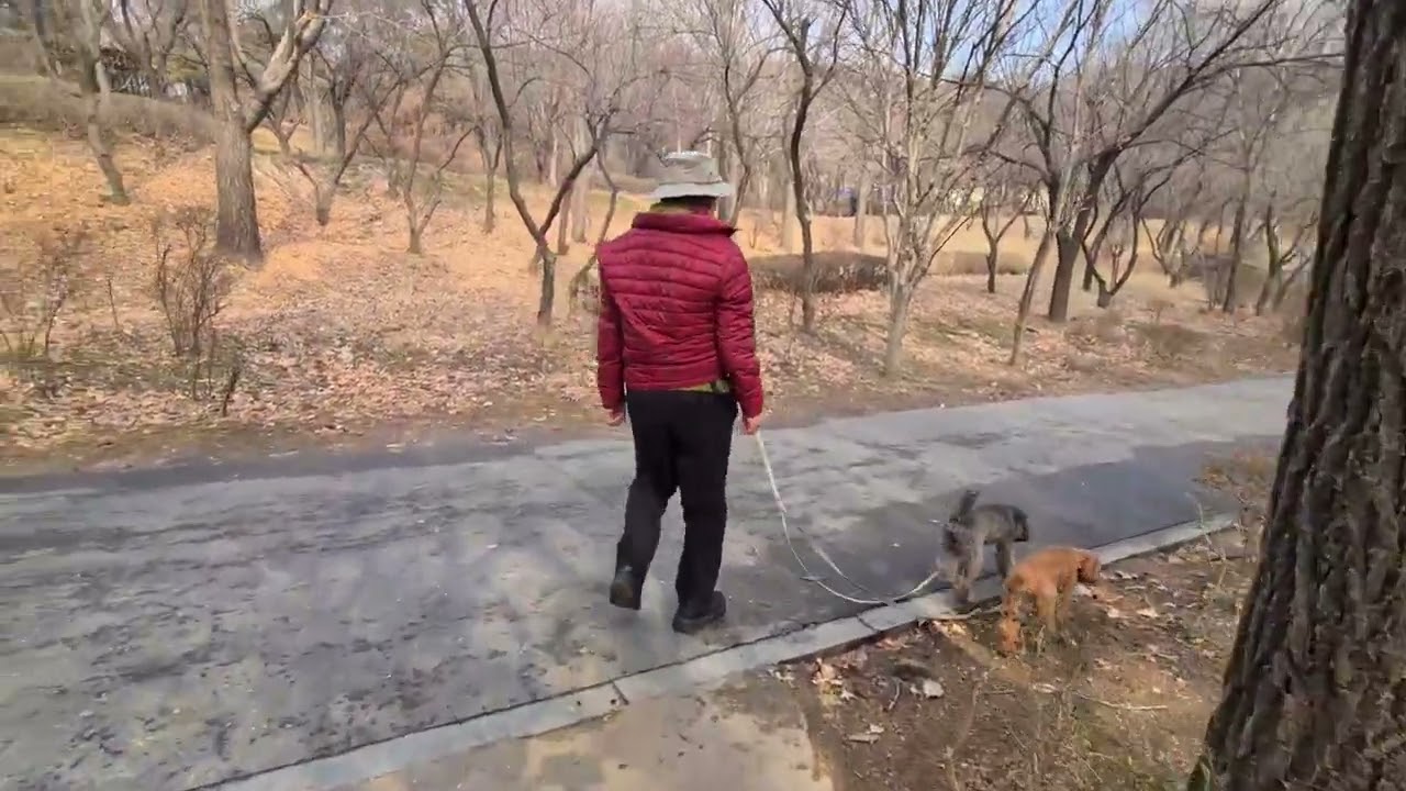Walking Around Seoul Namsan Park, Seoul, Korea on a Winter's Day