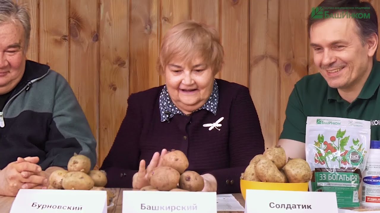 КАРТОФЕЛЬ! Посмотри, что говорят ученые!