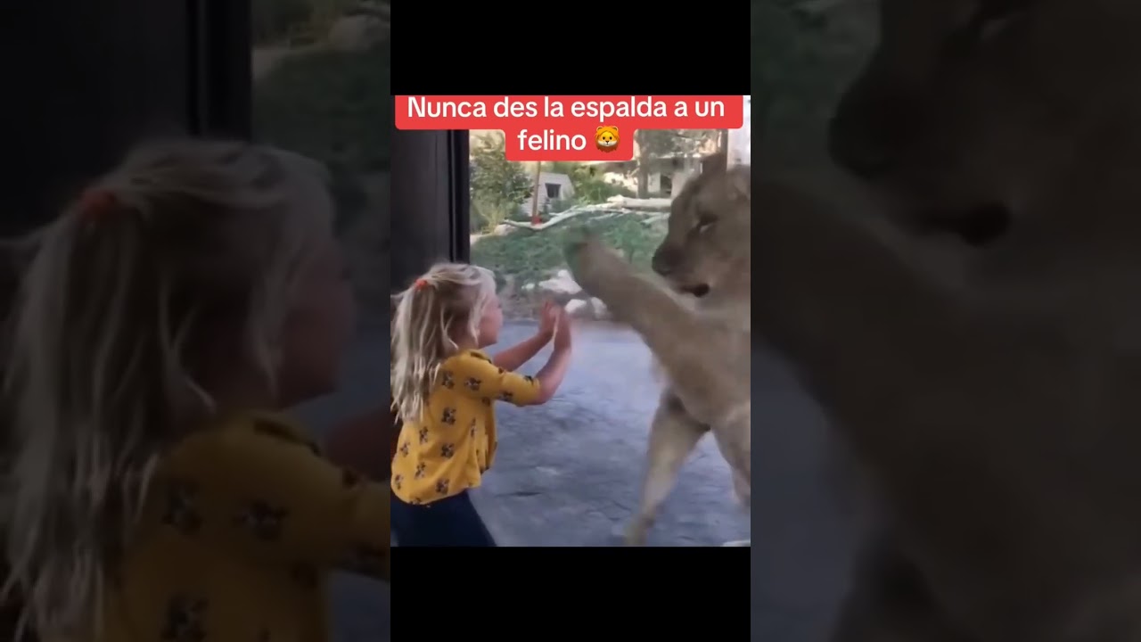 #zoo