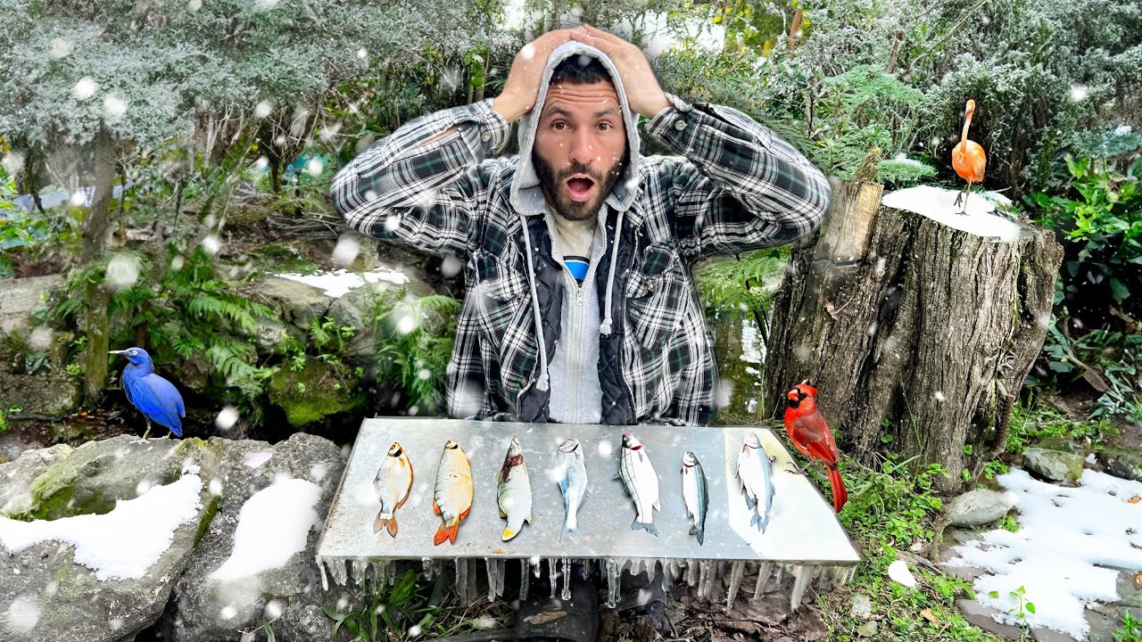 ALL My FISH FROZE In My AVIARY!