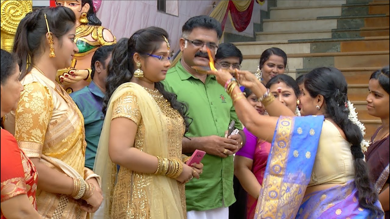 Priyamanaval Episode 248,  13/11/15