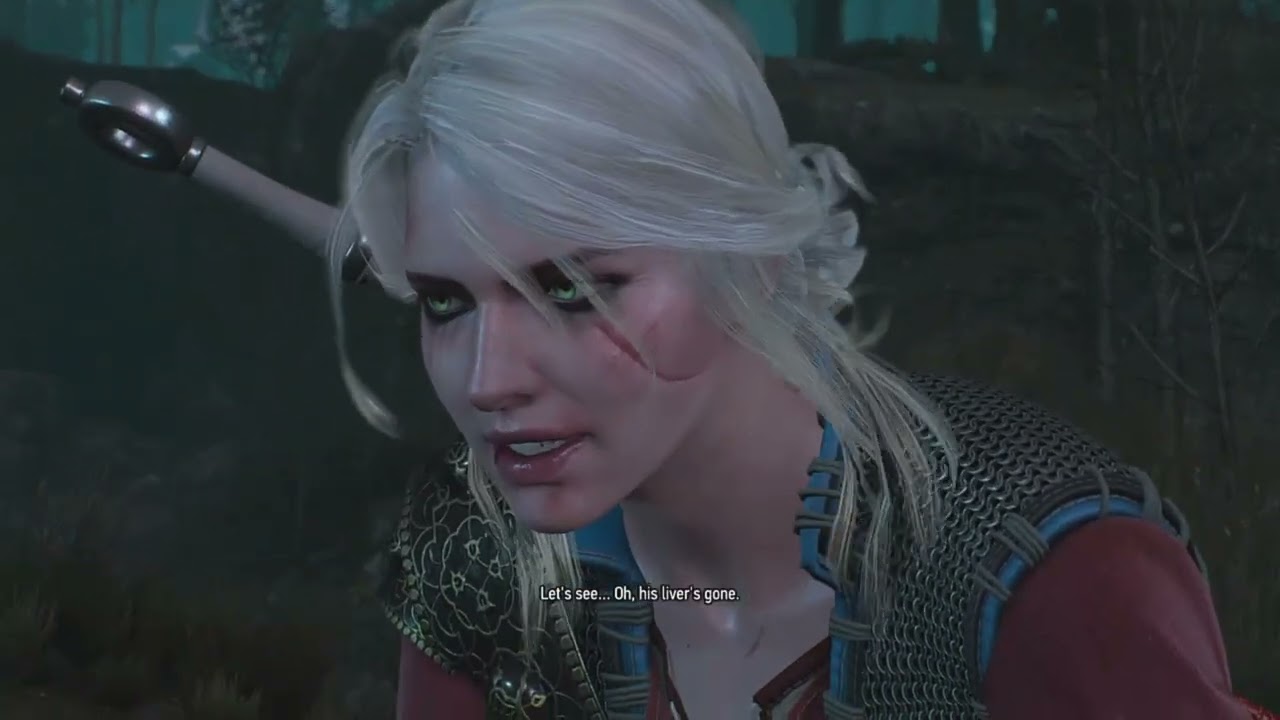 THE BLOODY BARON-The Witcher 3 Wild Hunt  #witcher3