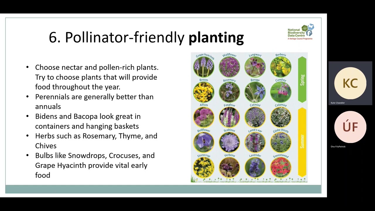 Top Ten Actions for Pollinators