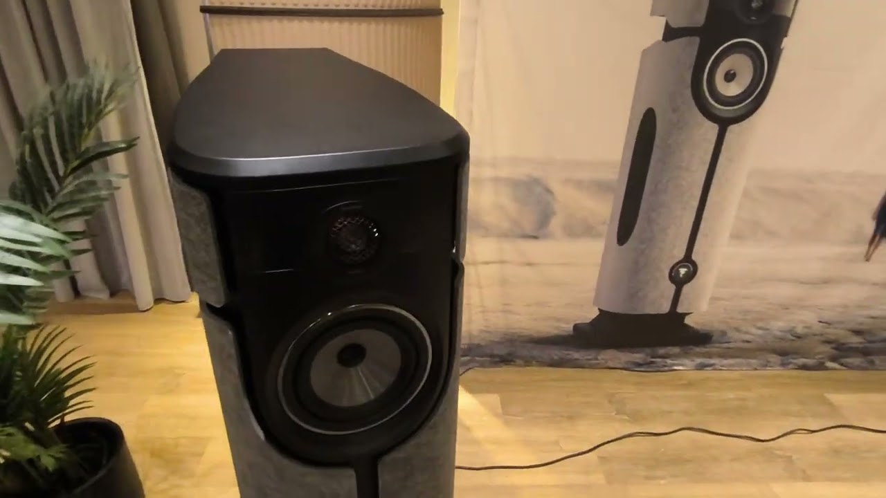 Focal Diva Utopia  wireless all-in-one speaker! 