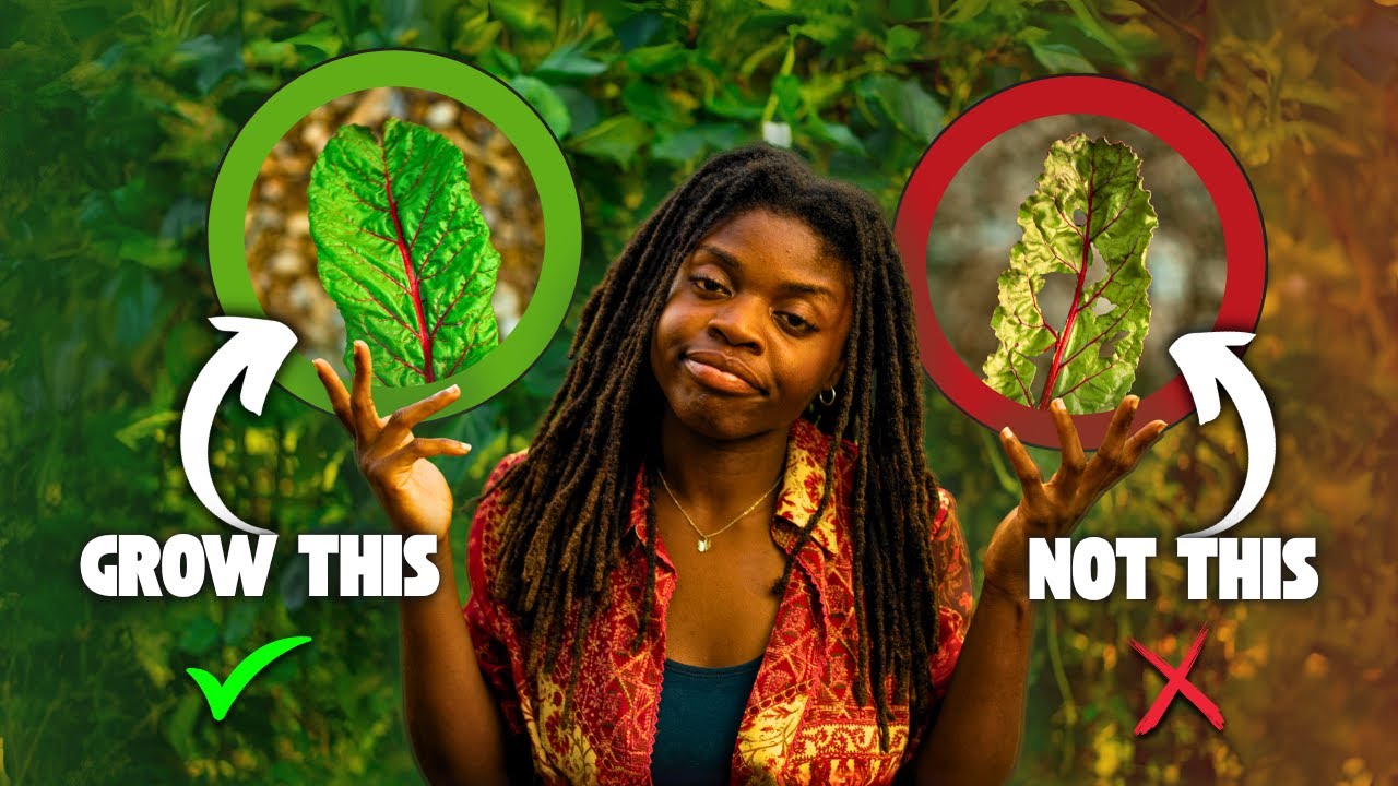 The Gardening Advice I Wish I had on Day 1 (What They DON'T Tell You)!