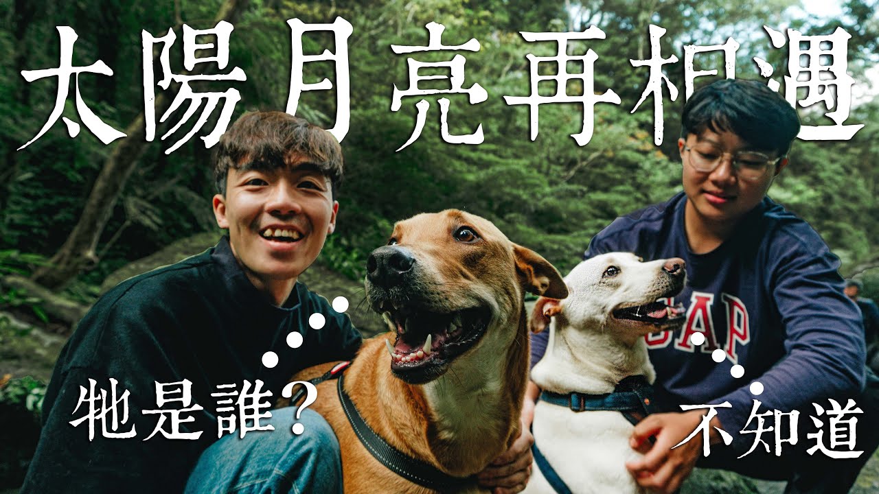 太陽環島EP.1 | 太陽月亮大集合！但星星卻不在⋯