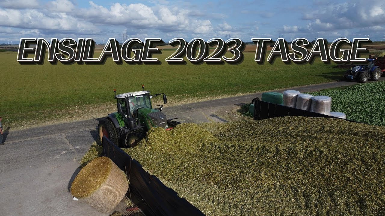 ENSILAGE 2023 QUE DU TASAGE
