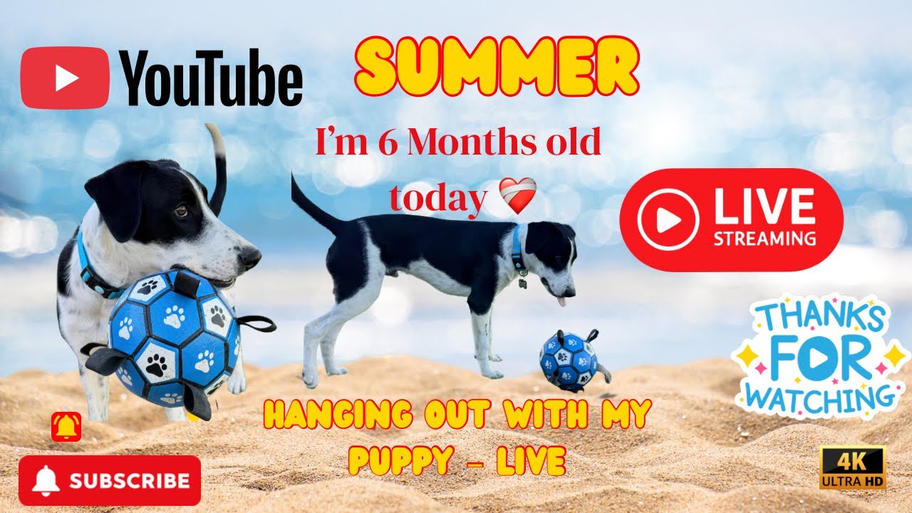 I’m happy Jasper  is live