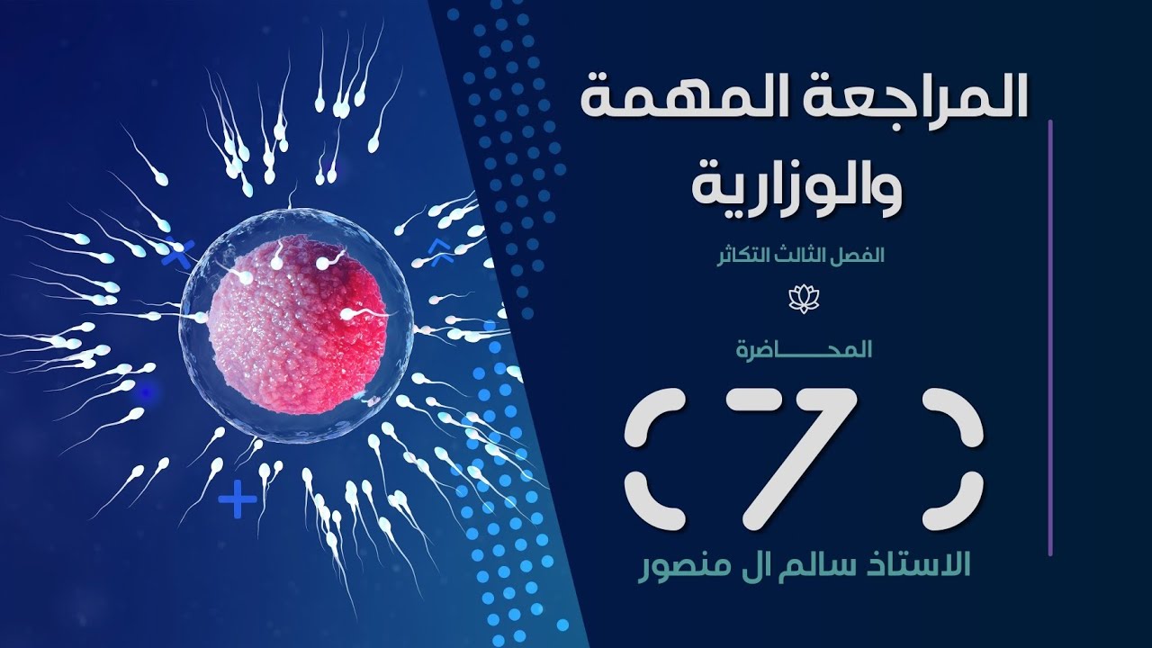 المراجعة  ( الفصل الثالث ) | المحاضرة الـ 7 والأخيرة.