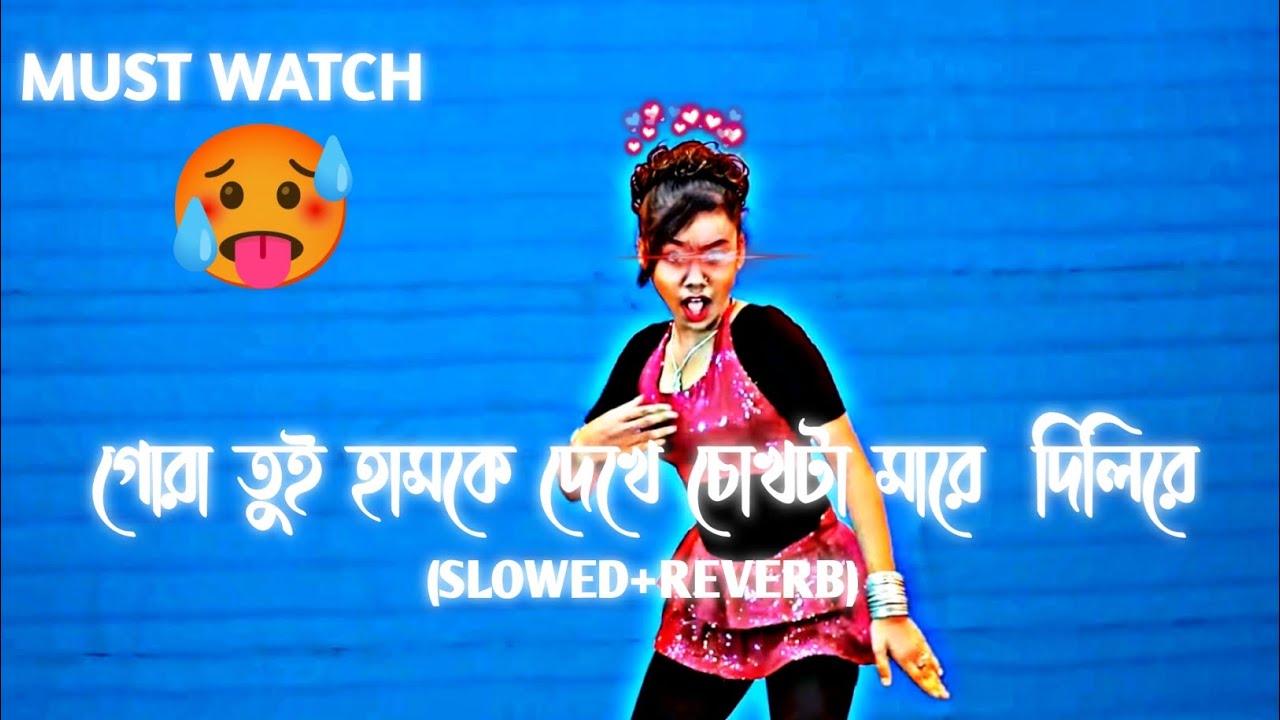 গোরা তুই হামকে দেখে চোখটা মারে  দিলিরে🥵(Slowed+Reverb) Gora Tui Fasto Bare lofi🔥 Dhakdhakita lofi
