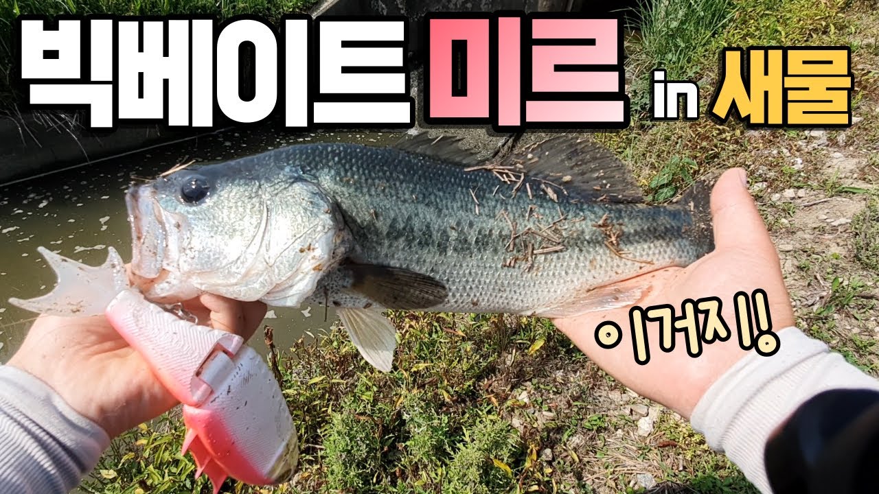 빅베이트 배스낚시 더블에이치 미르로 새물유입구 탐색 이거지! BassFishing EP48