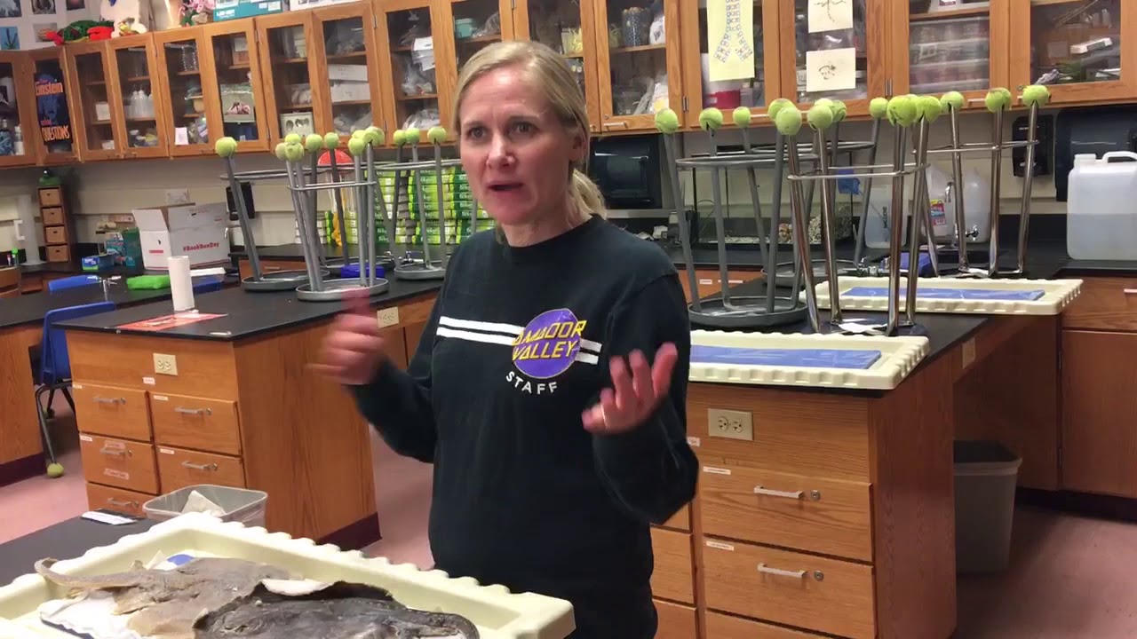Zoology Course Video