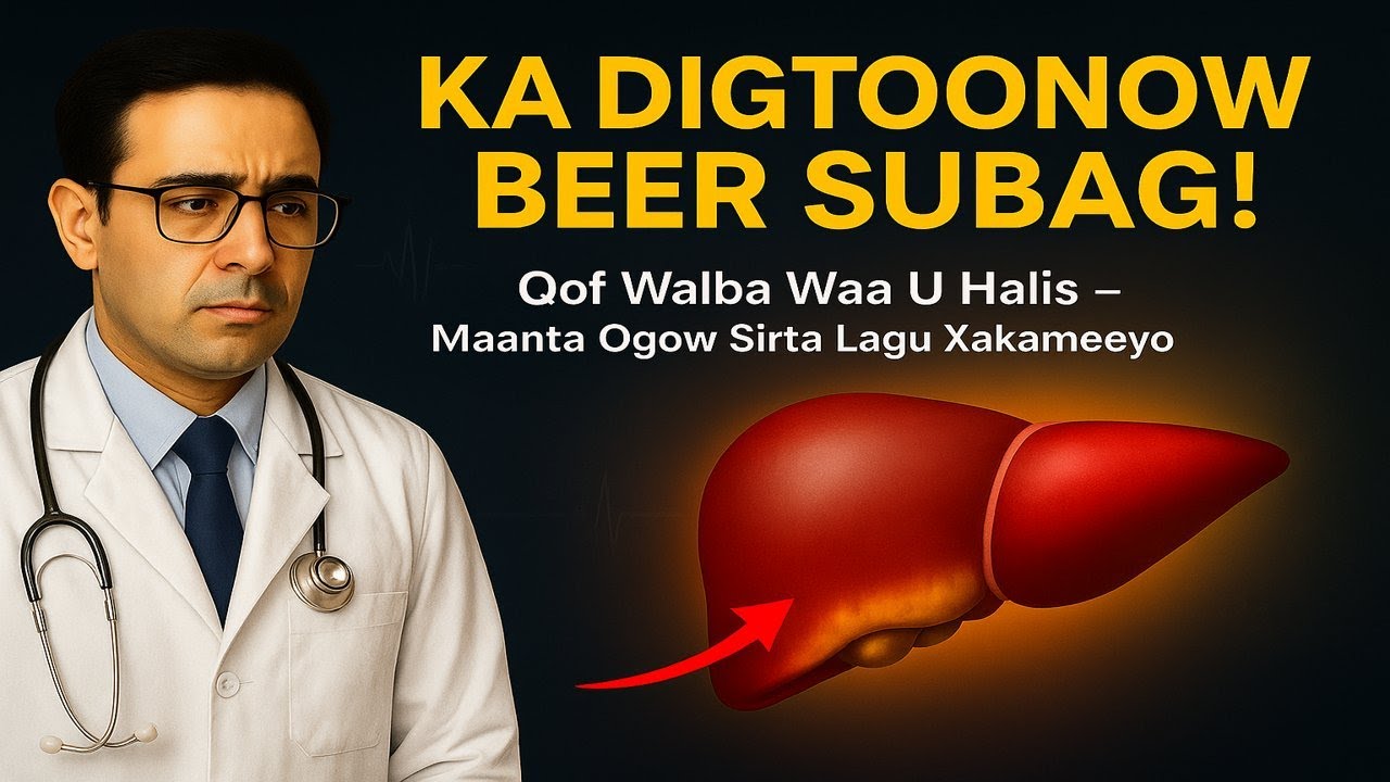 Beer Subag / Fatty Liver: 5 Waxyaalood Oo Aad U Baahan Tahay Inaad Ogaato 💡