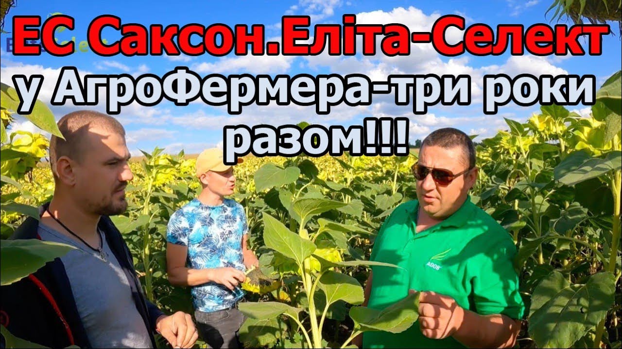 ЕС Саксон.Еліта-Селект у АгроФермера-три роки разом!!!
