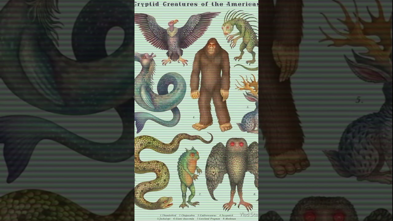 que son Los Criptidos #terrorymisterio #leyendas #criptidos