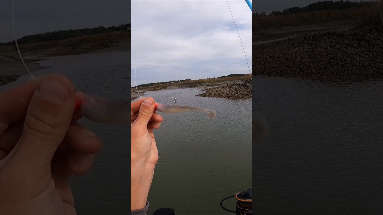 Впервые использую приманку Q8 SuperBait! 