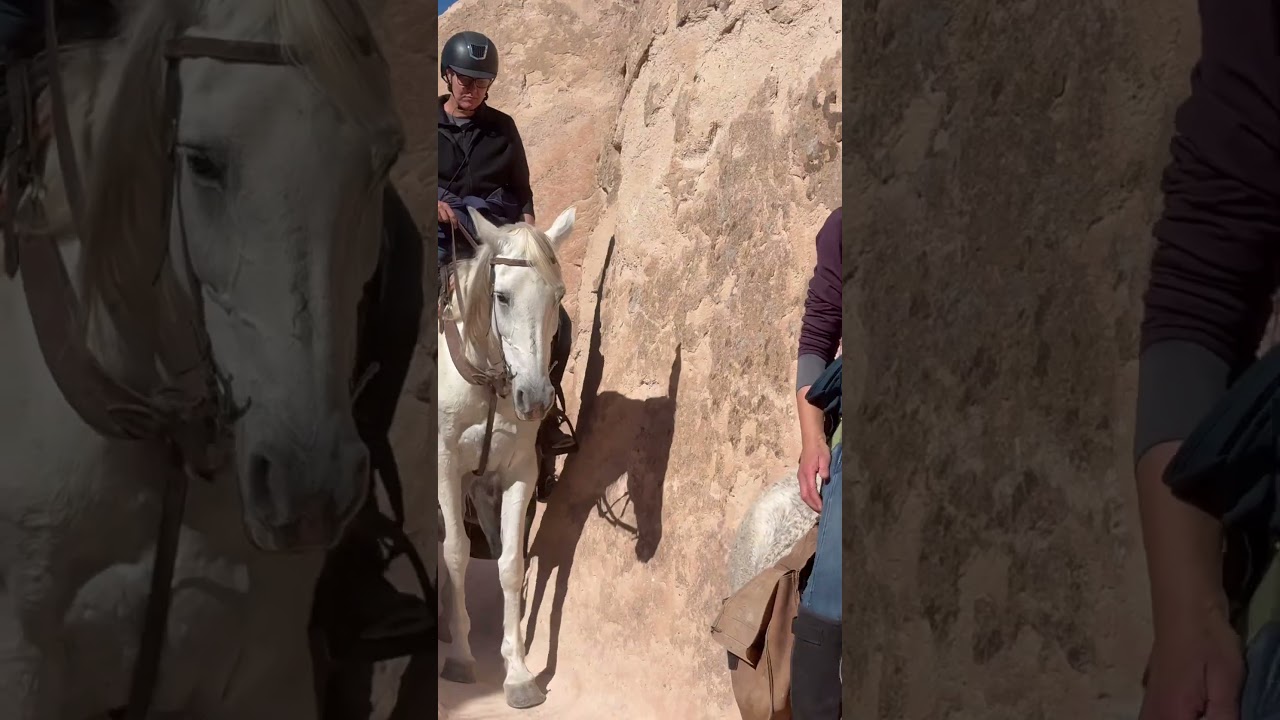 Land Of Beautiful Horses