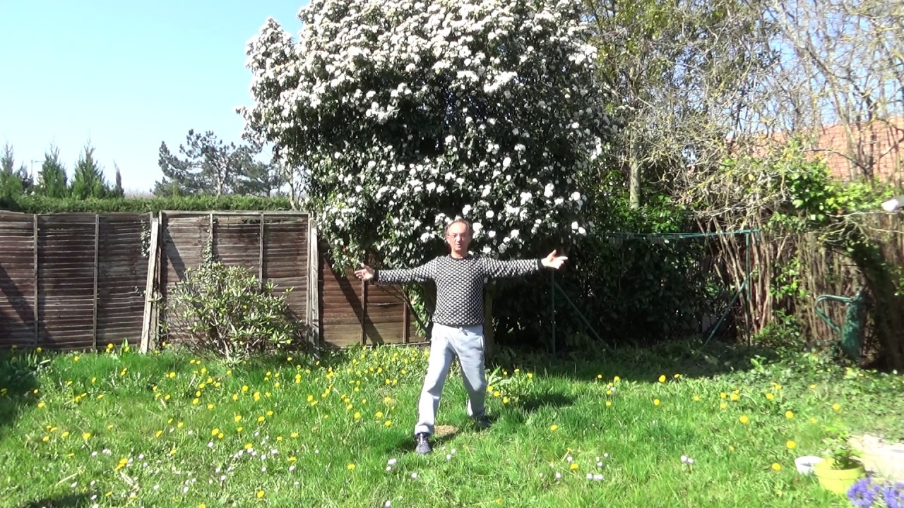 Qi Gong - Le Rituel