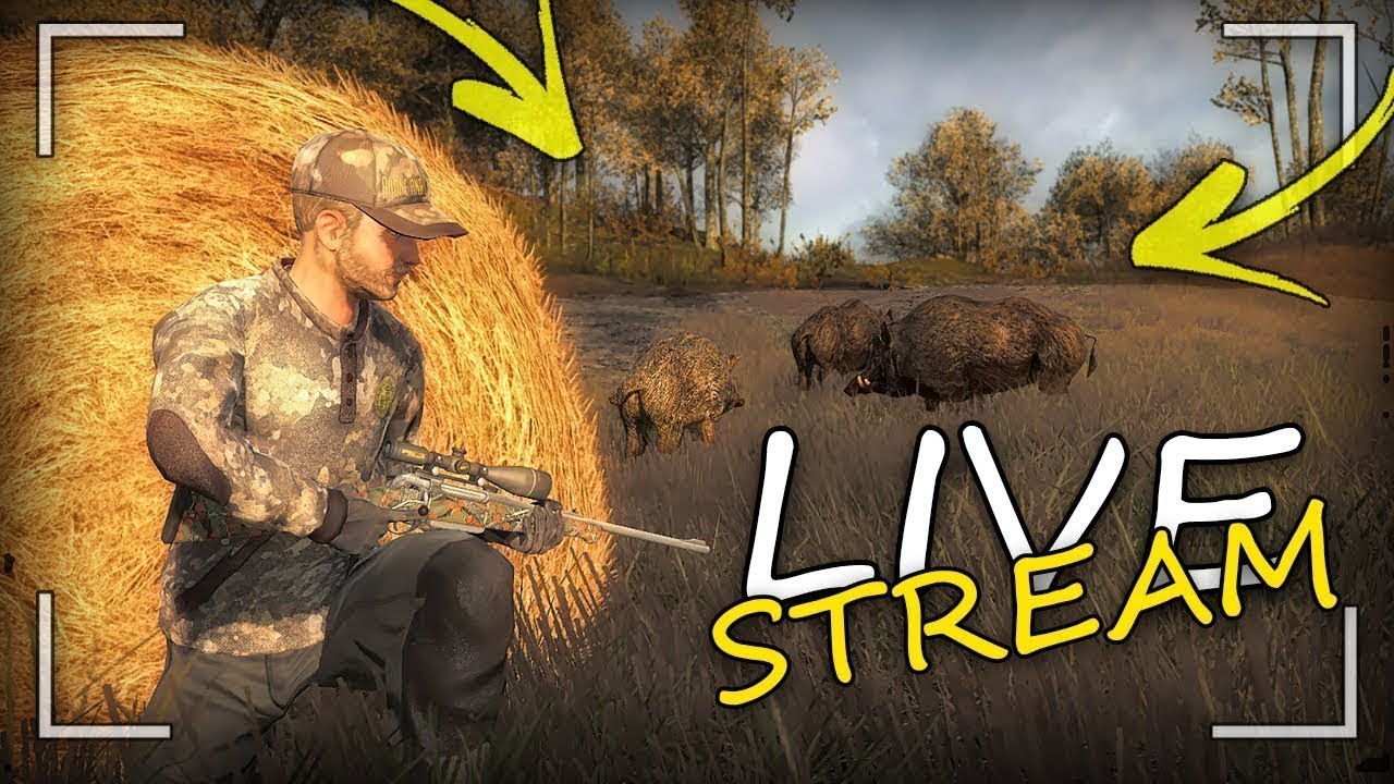 (Live)  theHunter Classic. Polowanie na króliki