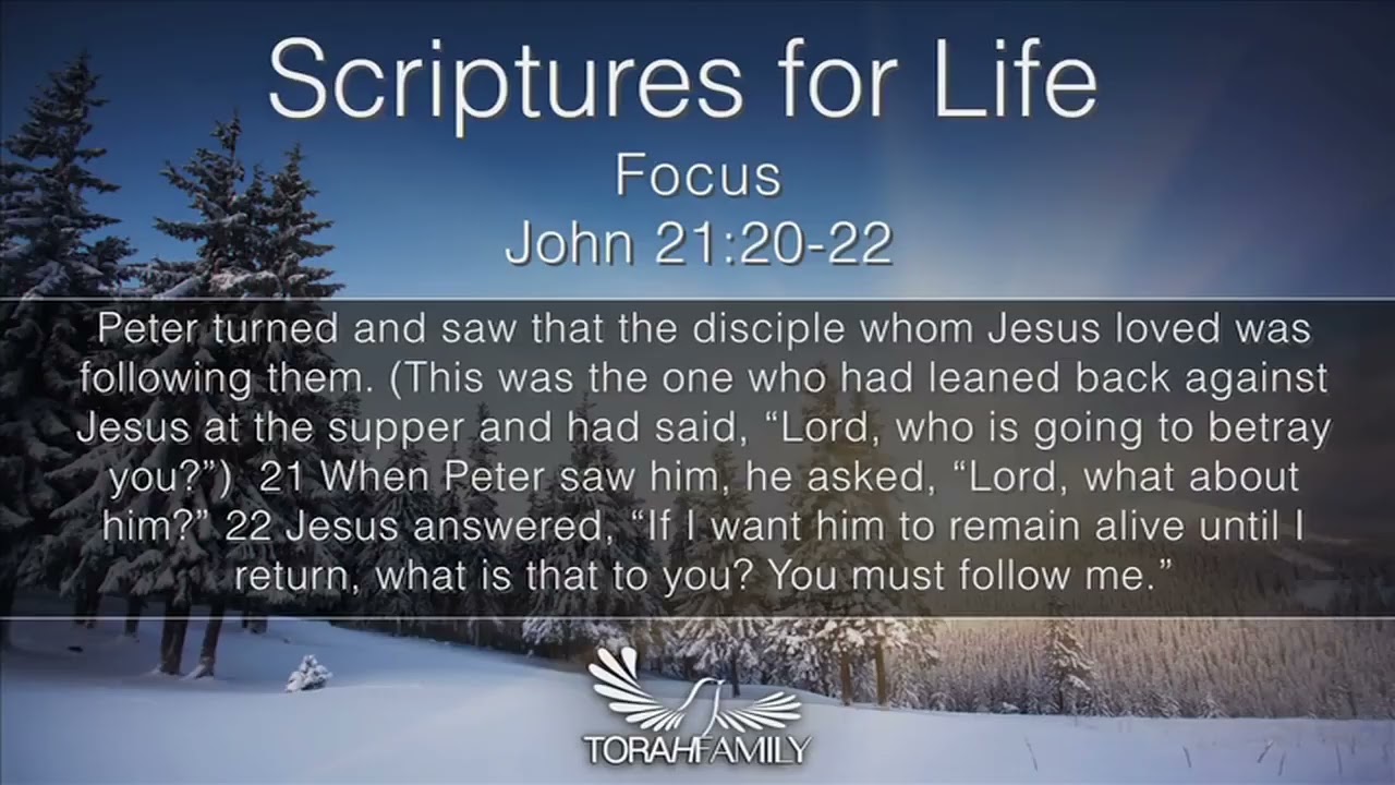 Scriptures for Life  |  Focus