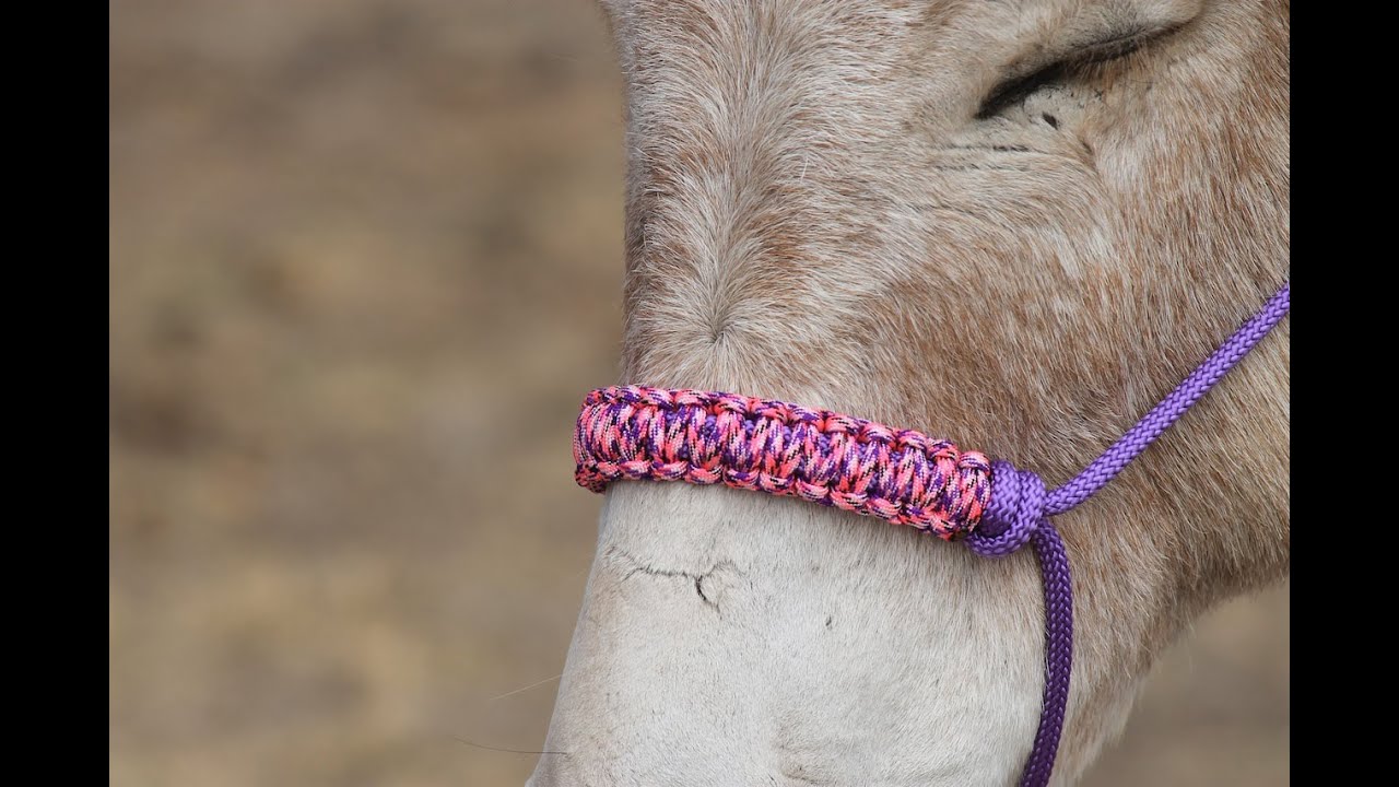How to make a braided paracord noseband for a  horse halter.   Step by step instructions.