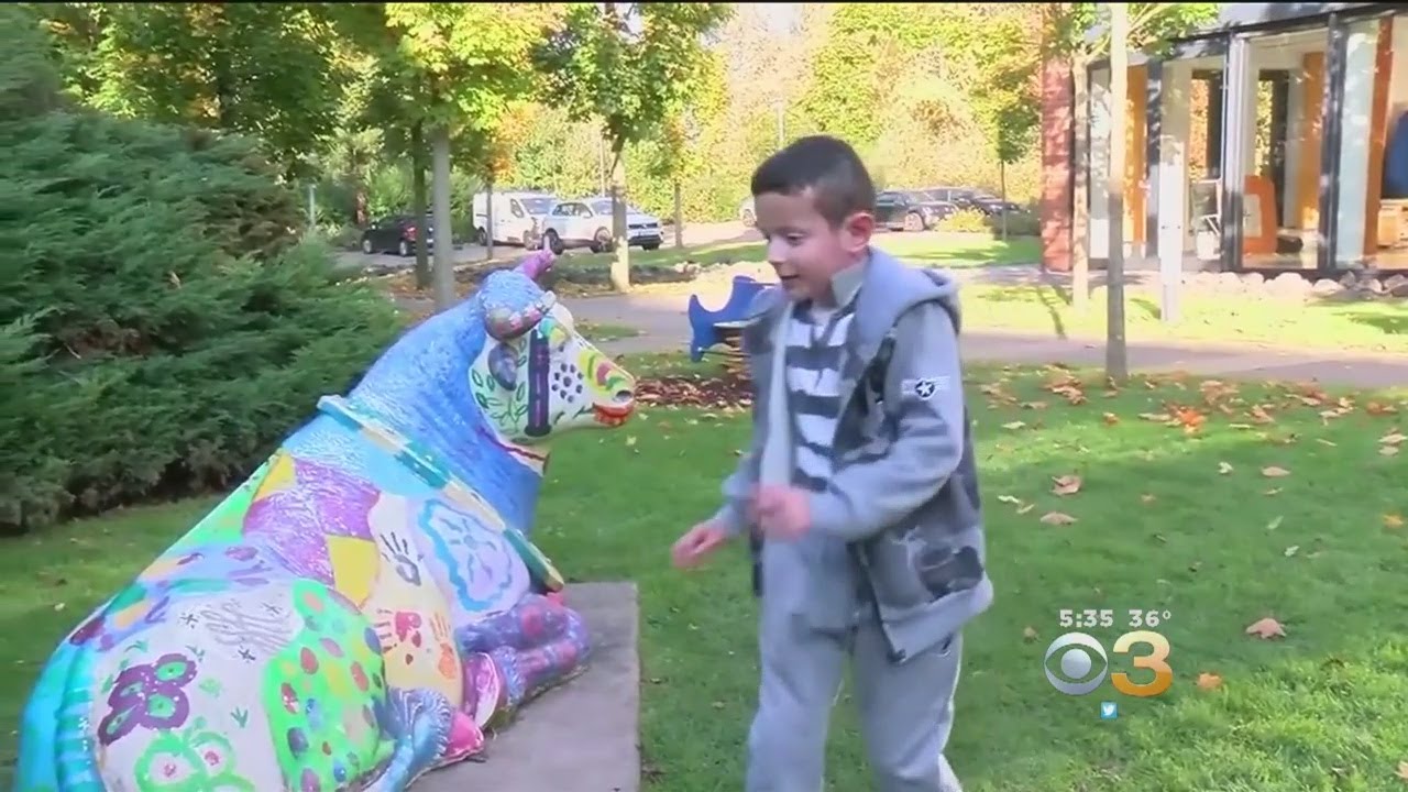 'Cured' Boy Beats Deadly Genetic Disease With Aid Of Stem Cell Tech